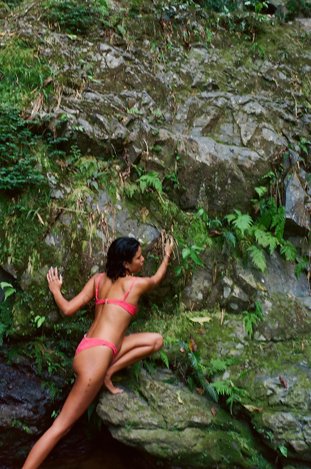 Acacia: Zuma Bikini Bottom - XL - Image 4