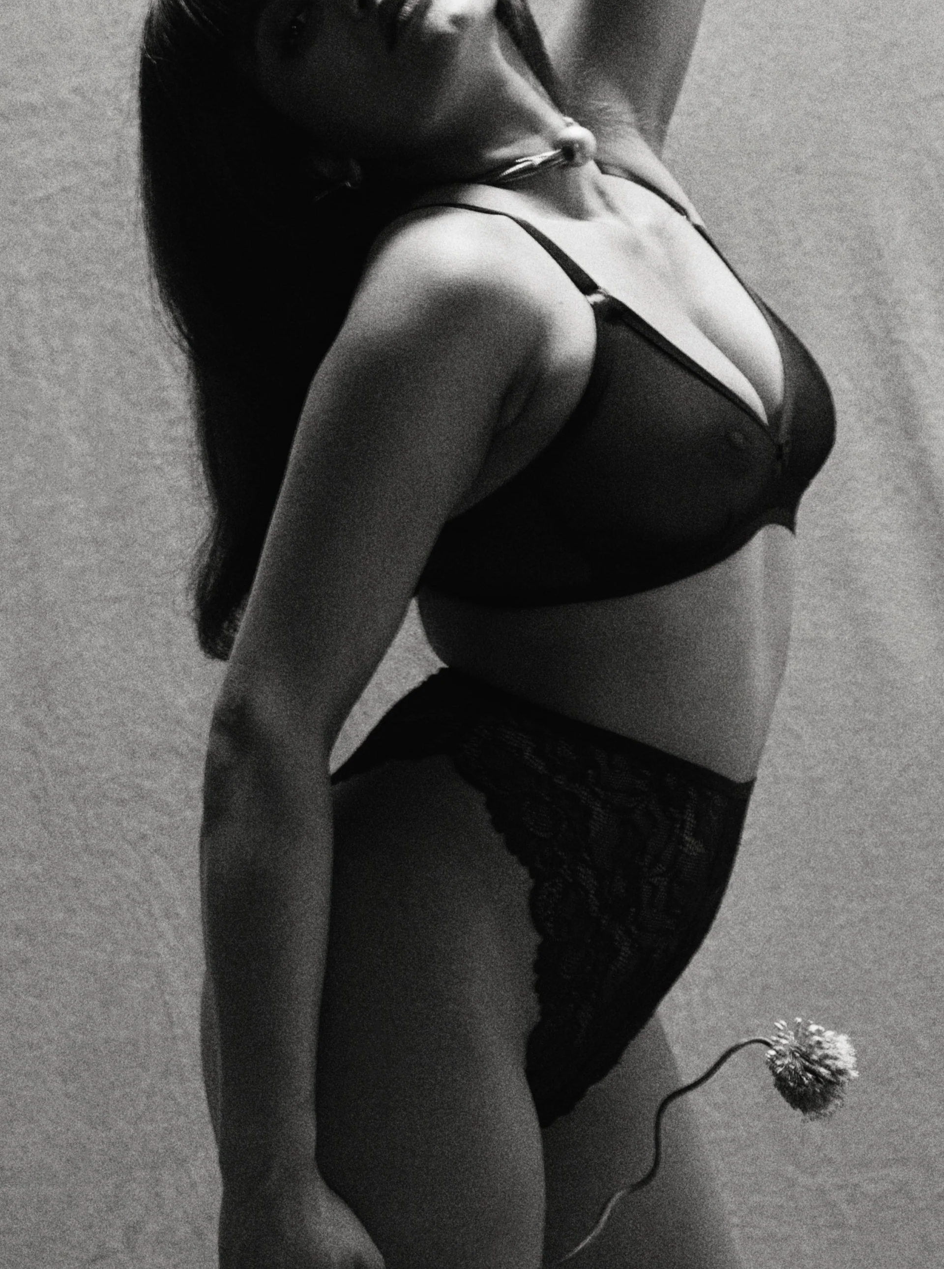 Bully Boy: Dora High-Waisted Lace Panty - XXL - Image 5